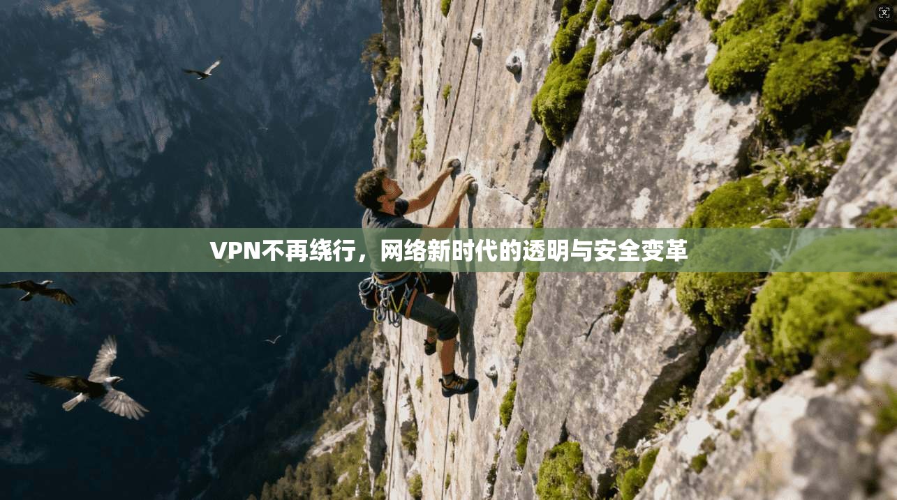 VPN不再绕行，网络新时代的透明与安全变革  第1张