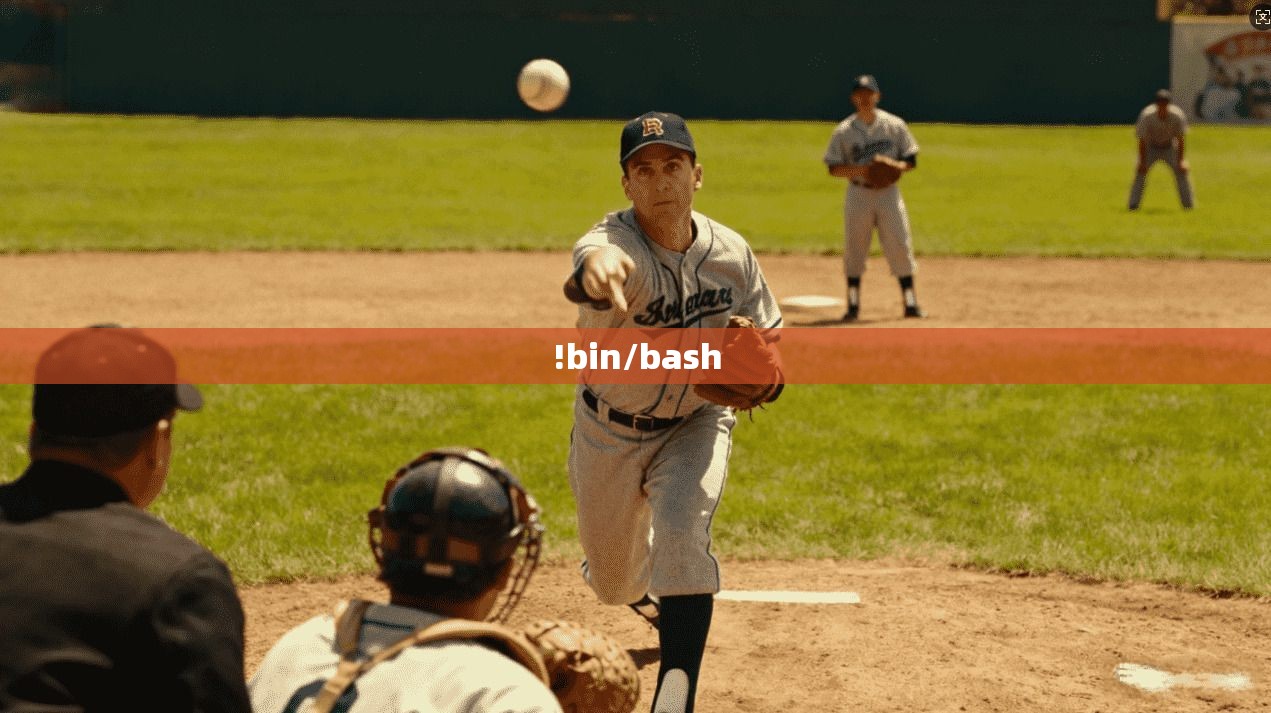 !bin/bash  第1张