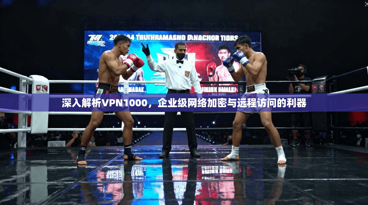 深入解析VPN1000，企业级网络加密与远程访问的利器  第1张