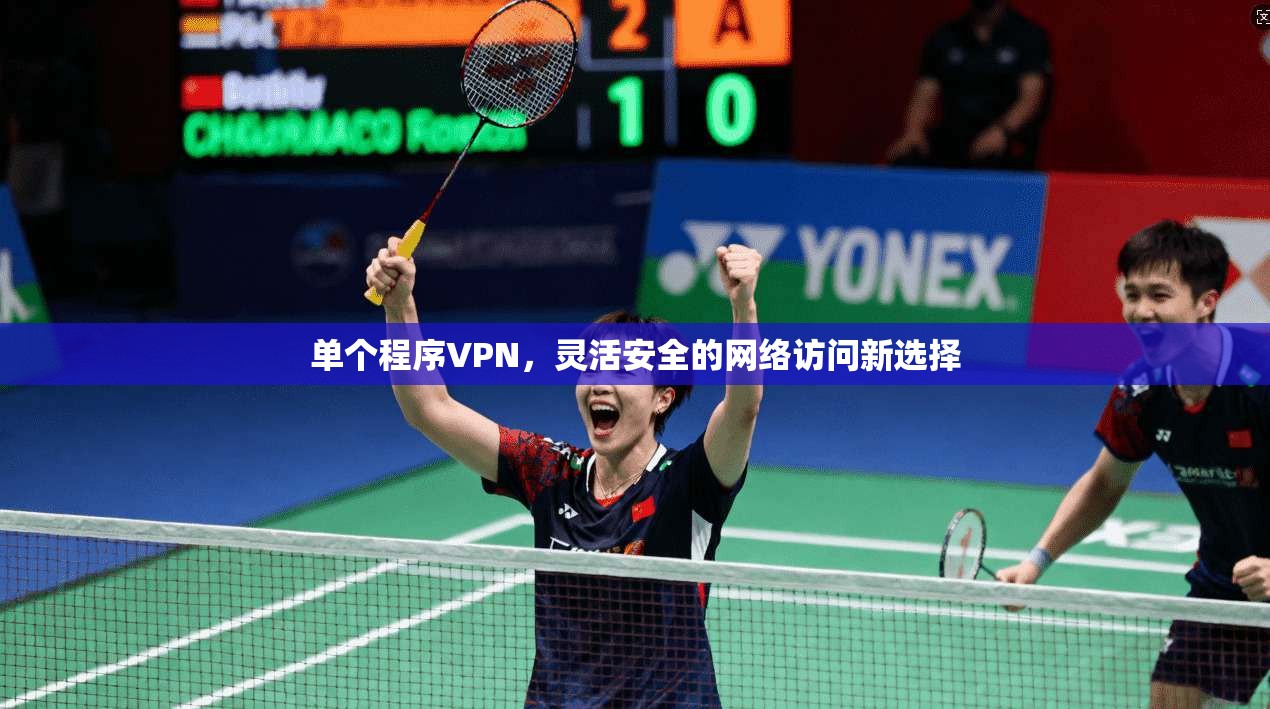 单个程序VPN，灵活安全的网络访问新选择  第1张