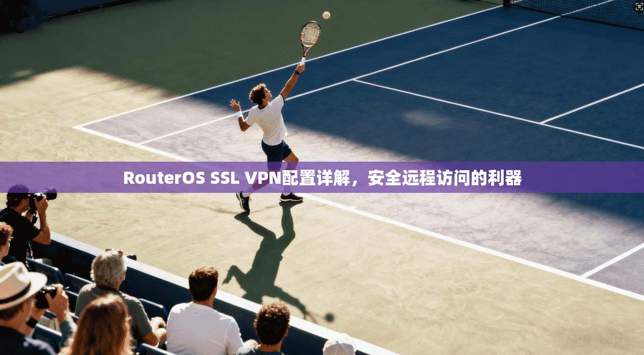 RouterOS SSL VPN配置详解，安全远程访问的利器  第1张