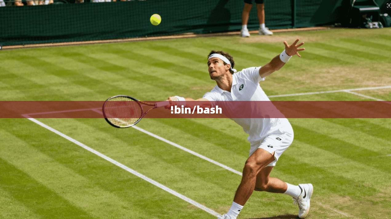 !bin/bash  第1张