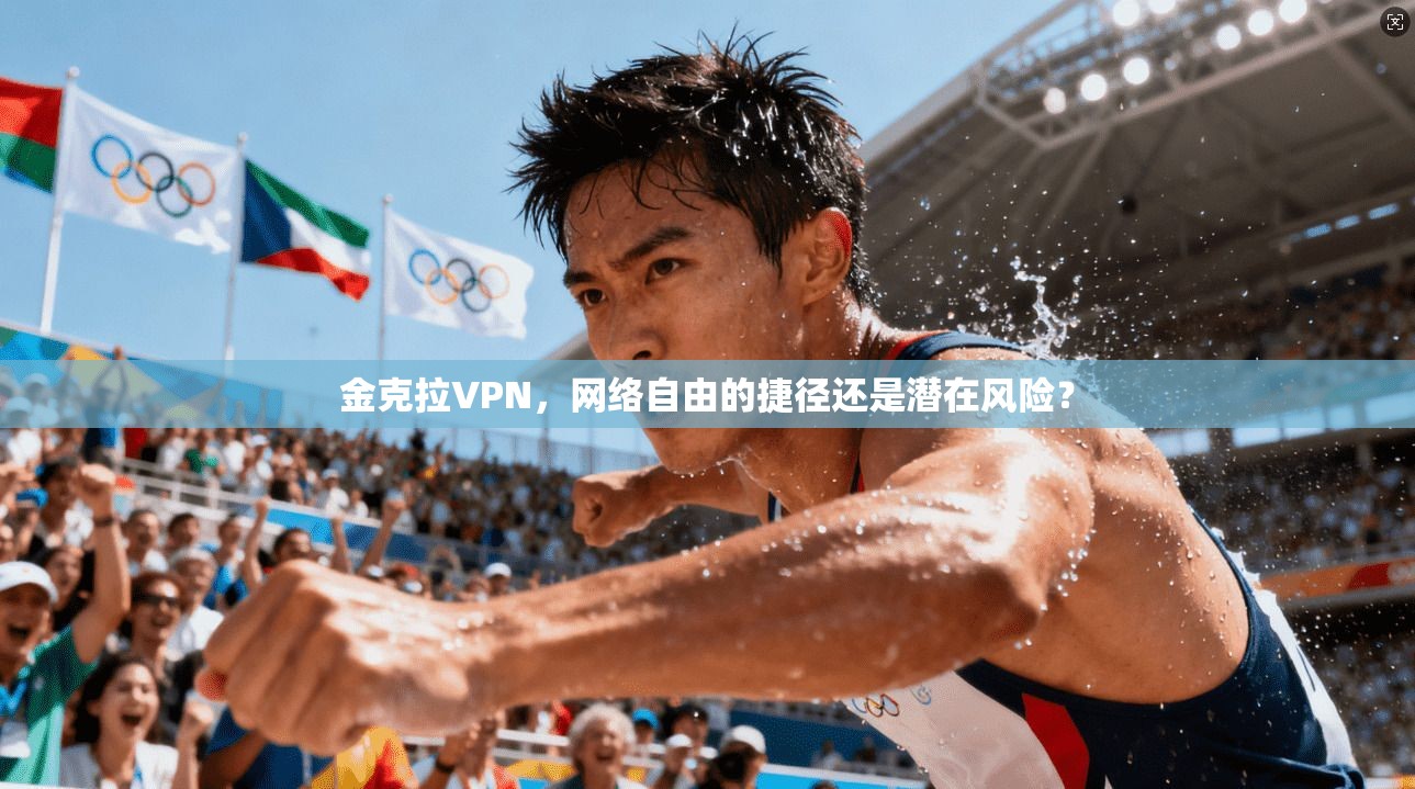 金克拉VPN，网络自由的捷径还是潜在风险？  第1张