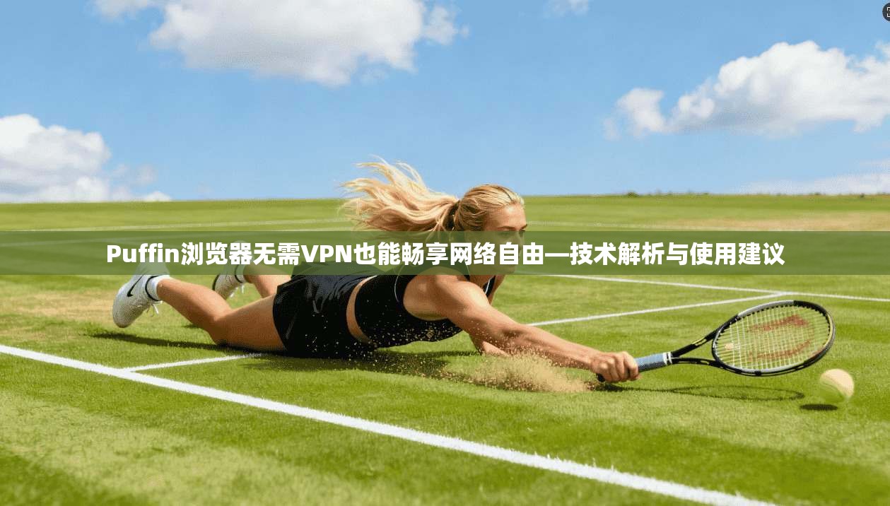 Puffin浏览器无需VPN也能畅享网络自由—技术解析与使用建议  第1张