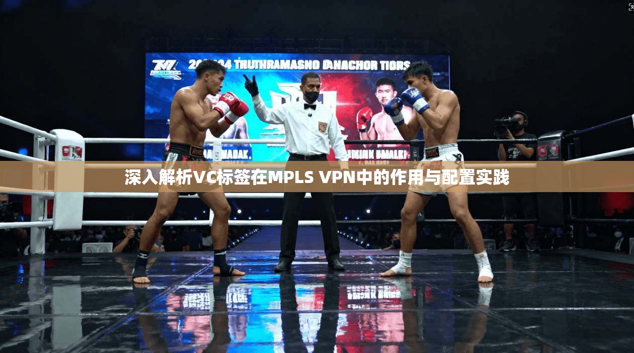 深入解析VC标签在MPLS VPN中的作用与配置实践  第1张