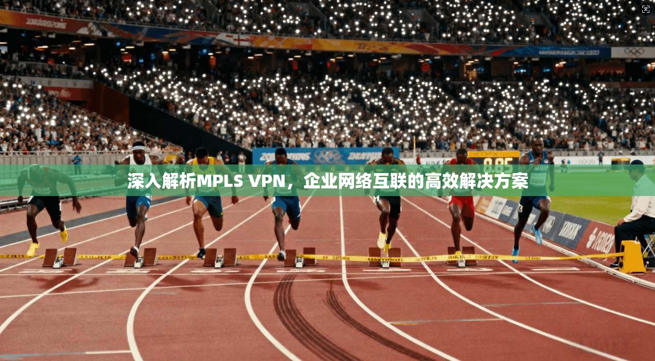 深入解析MPLS VPN，企业网络互联的高效解决方案  第1张