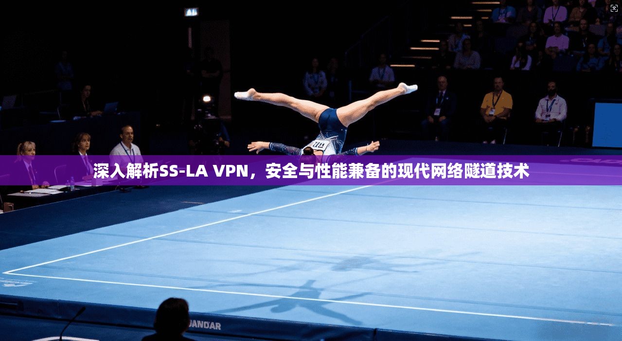 深入解析SS-LA VPN，安全与性能兼备的现代网络隧道技术  第1张