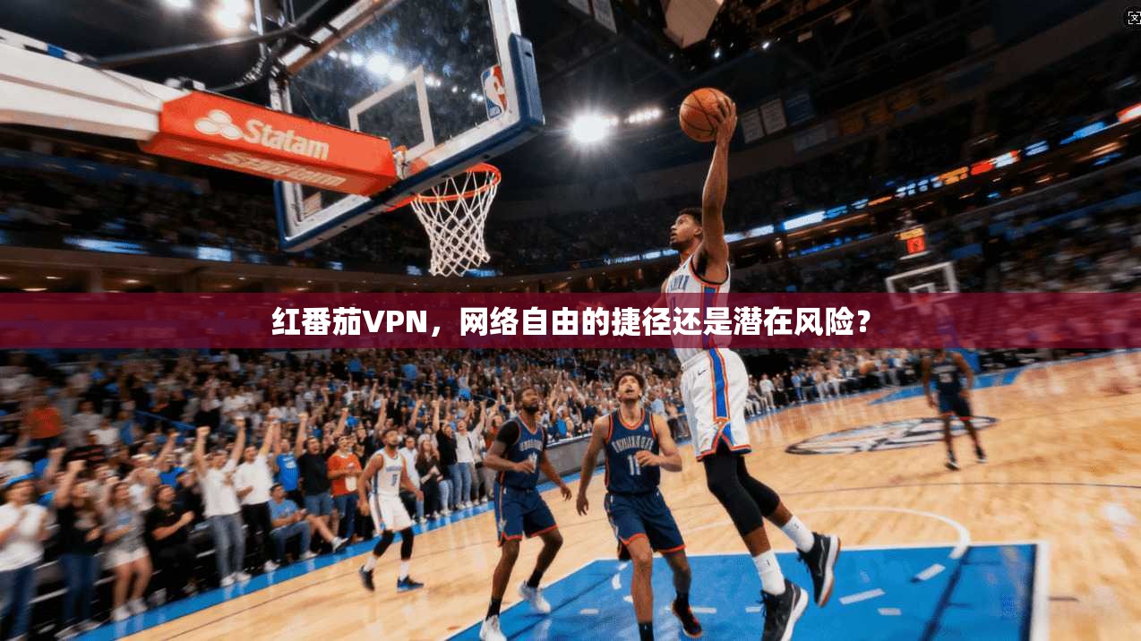 红番茄VPN，网络自由的捷径还是潜在风险？  第1张