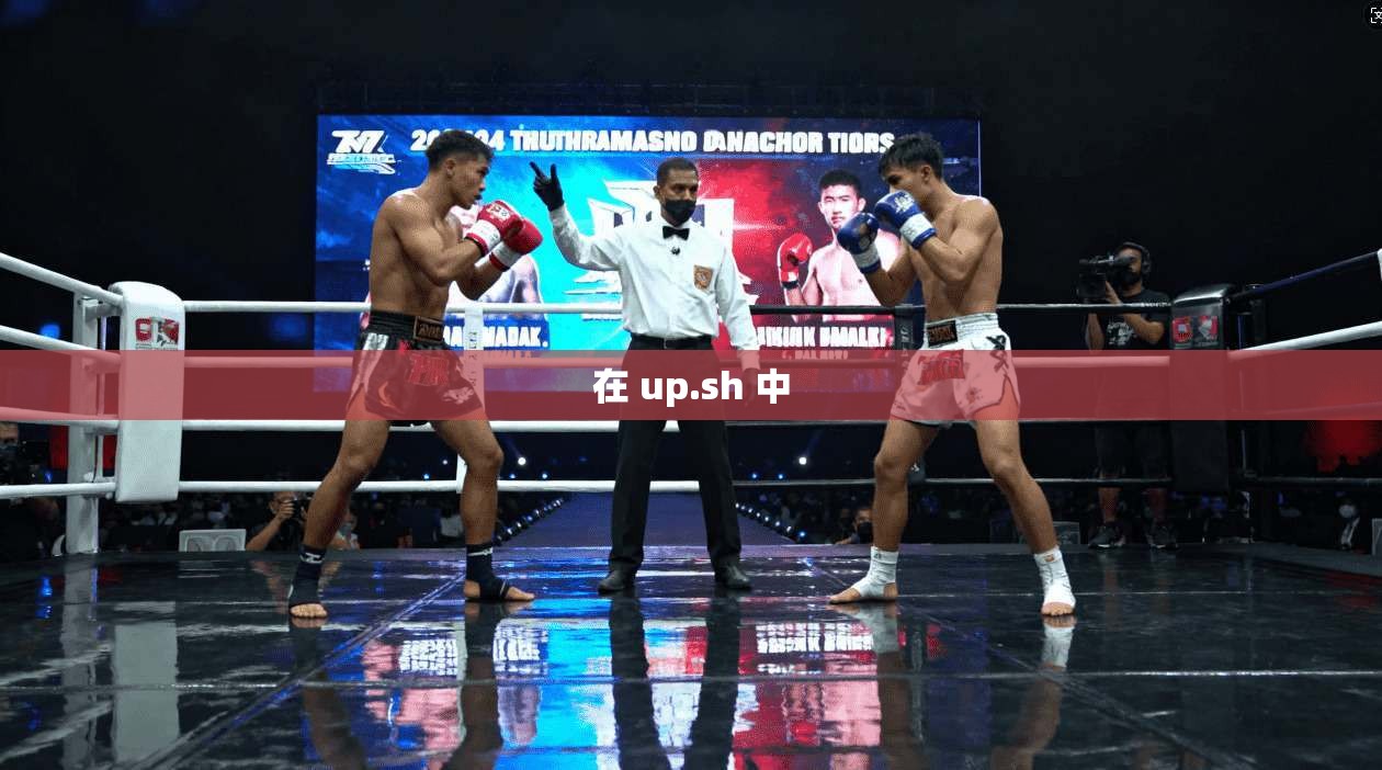 在 up.sh 中  第1张