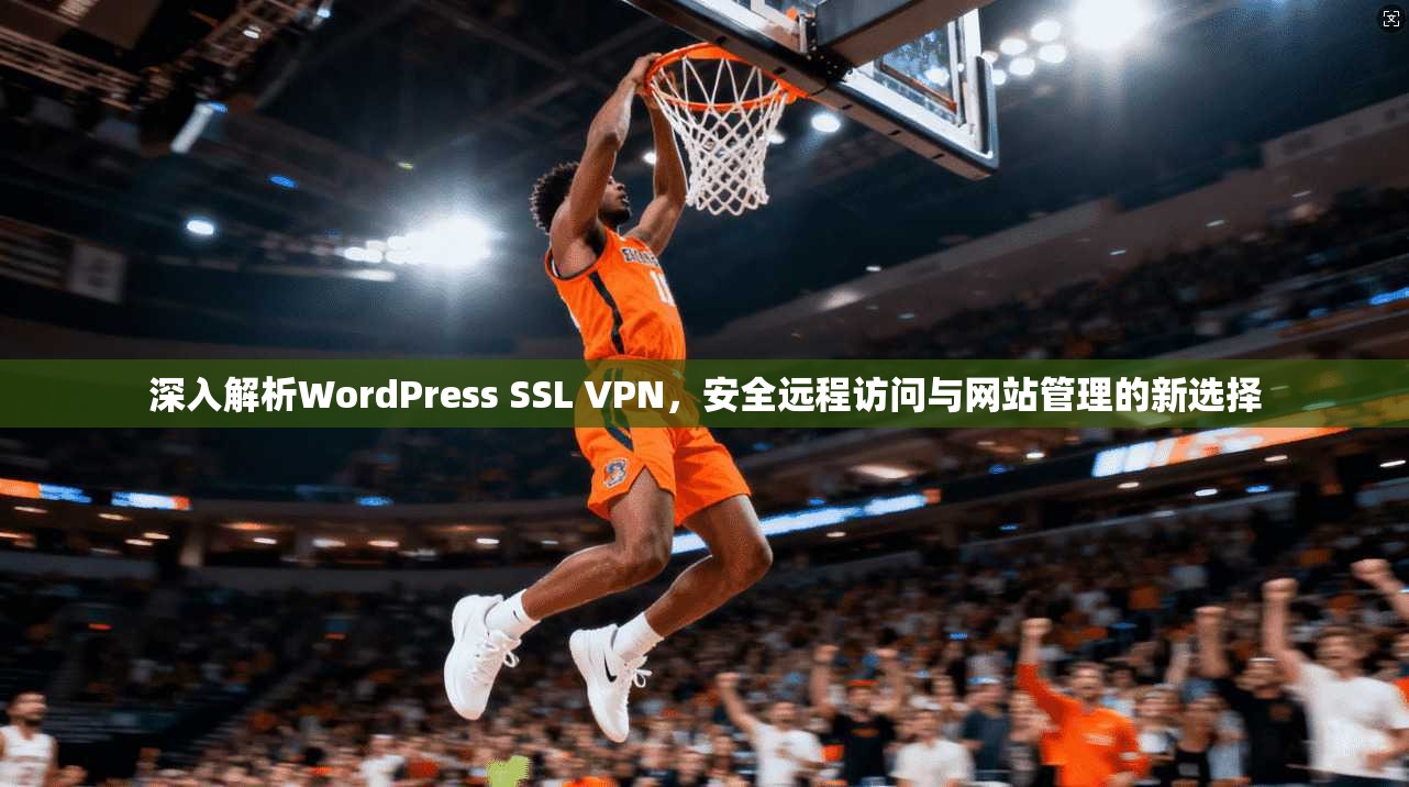 深入解析WordPress SSL VPN，安全远程访问与网站管理的新选择  第1张