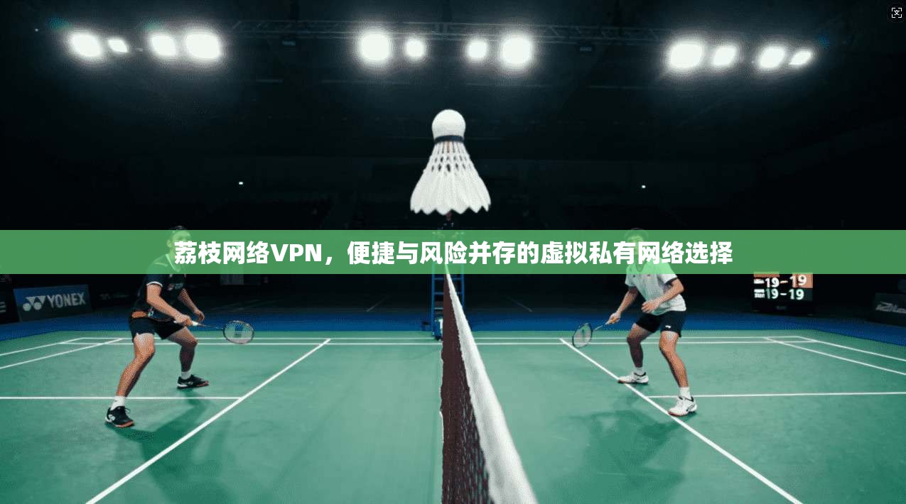 荔枝网络VPN，便捷与风险并存的虚拟私有网络选择  第1张