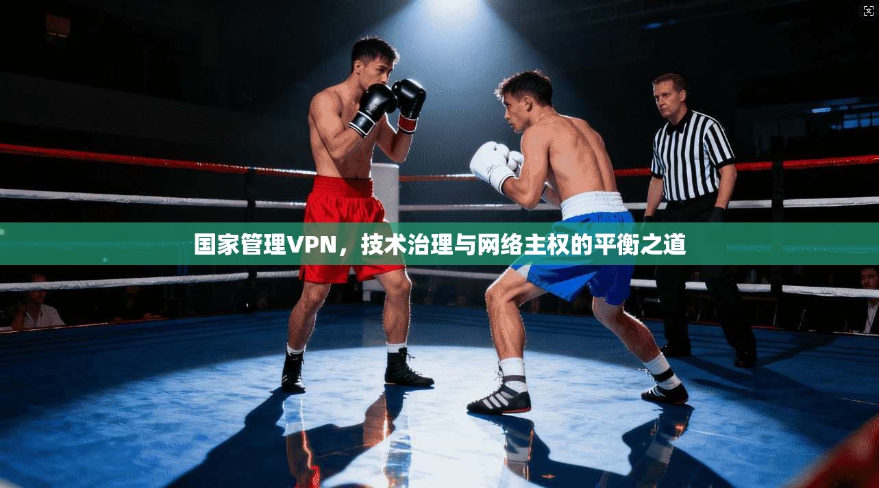 国家管理VPN，技术治理与网络主权的平衡之道  第1张