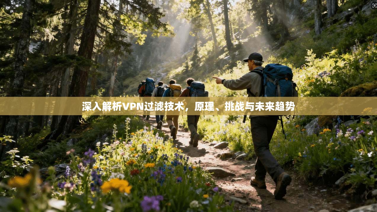 深入解析VPN过滤技术，原理、挑战与未来趋势  第1张