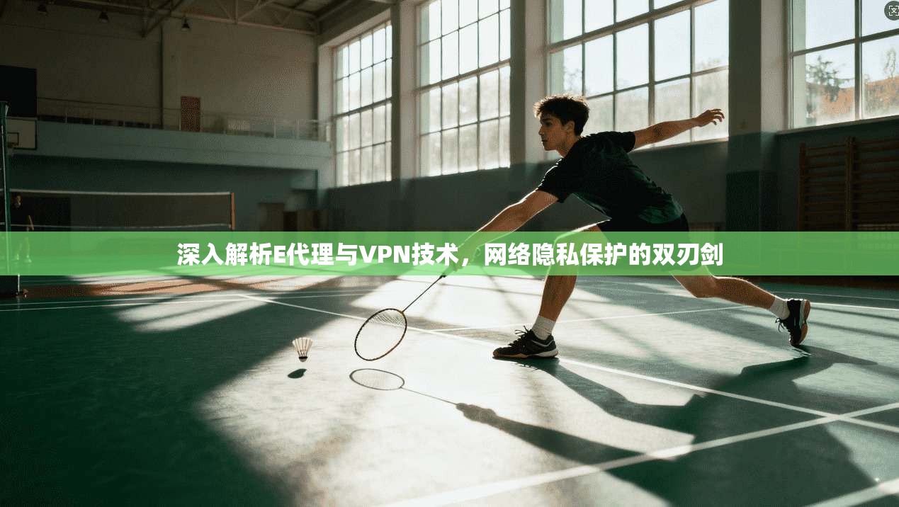 深入解析E代理与VPN技术，网络隐私保护的双刃剑  第1张