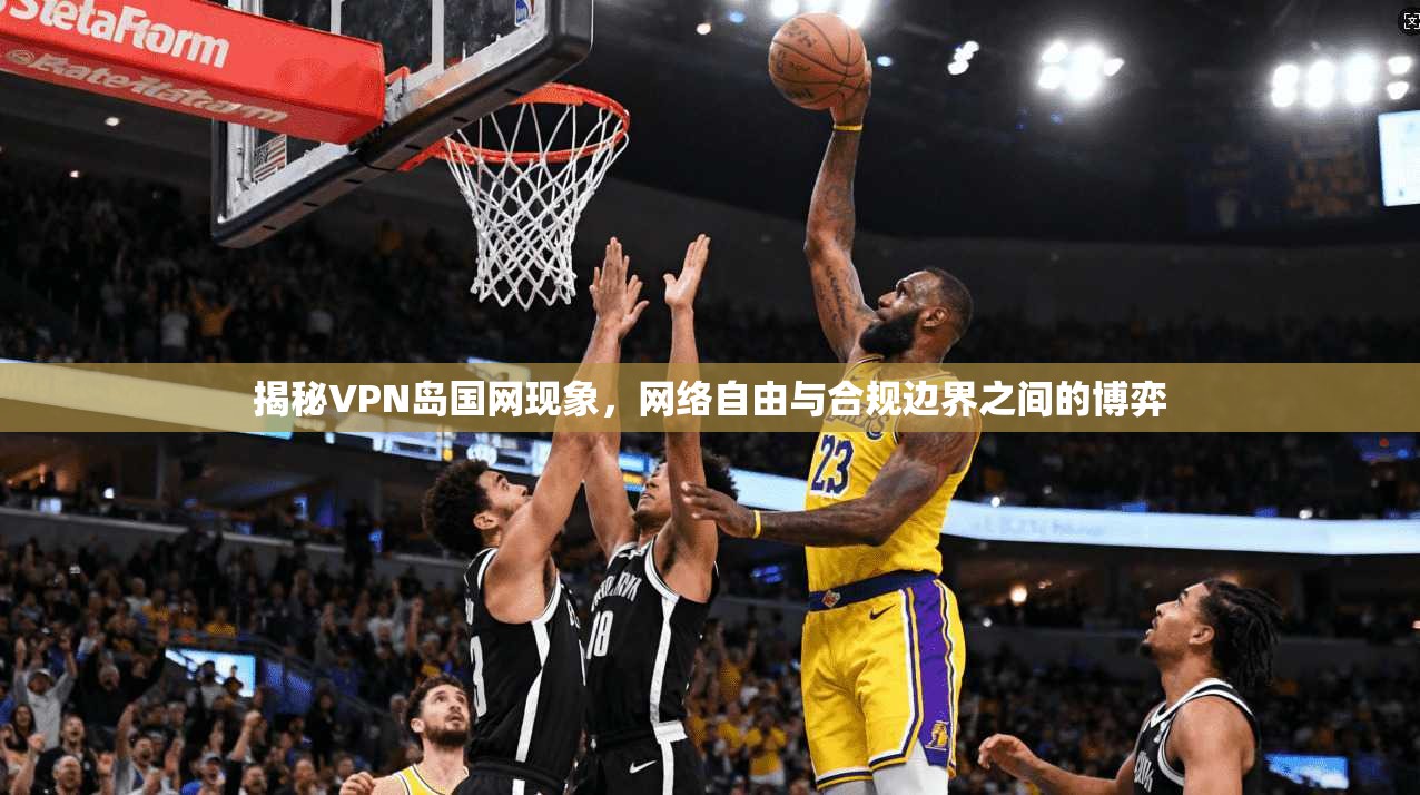 揭秘VPN岛国网现象，网络自由与合规边界之间的博弈  第1张