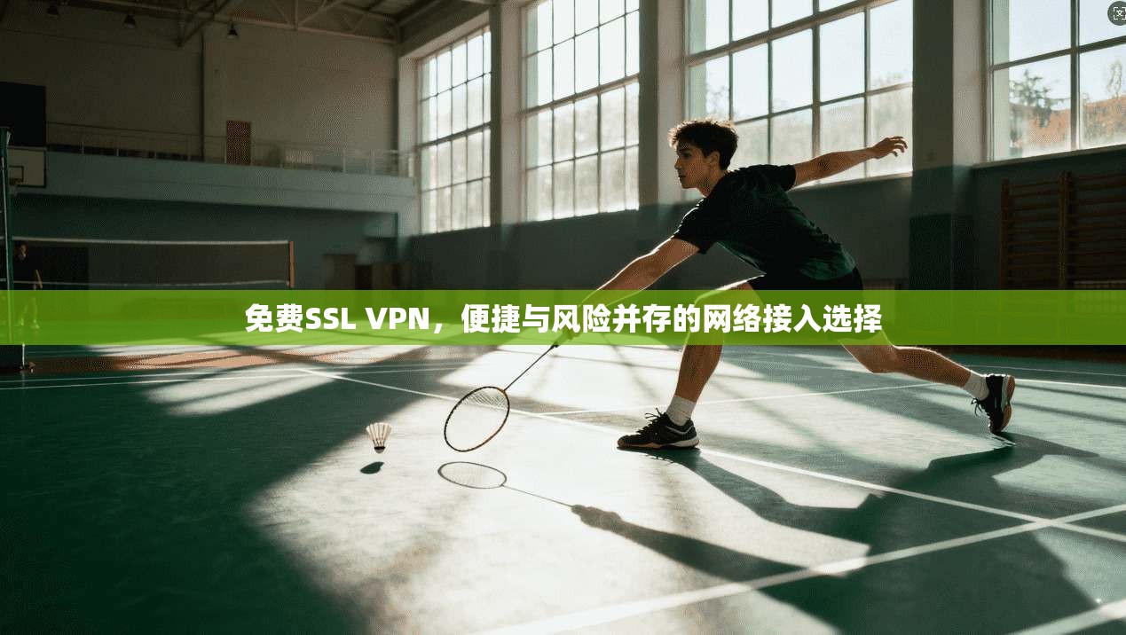 免费SSL VPN，便捷与风险并存的网络接入选择  第1张