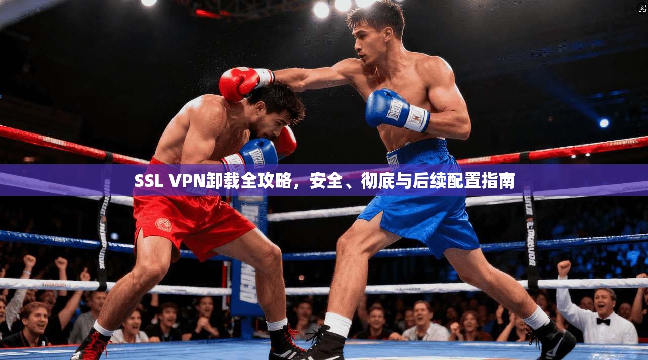 SSL VPN卸载全攻略，安全、彻底与后续配置指南  第1张