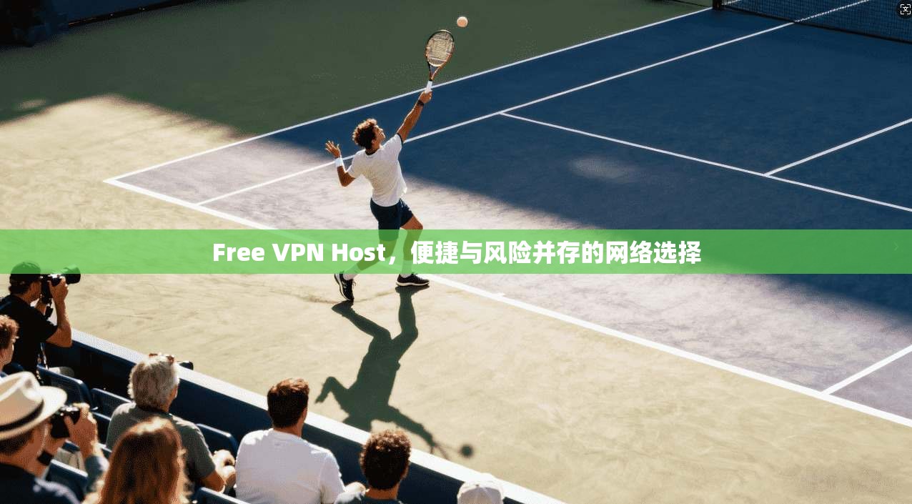Free VPN Host，便捷与风险并存的网络选择  第1张
