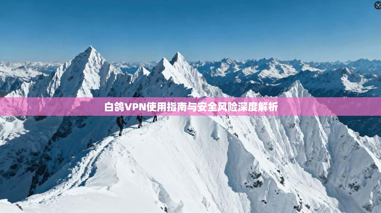 白鸽VPN使用指南与安全风险深度解析  第1张