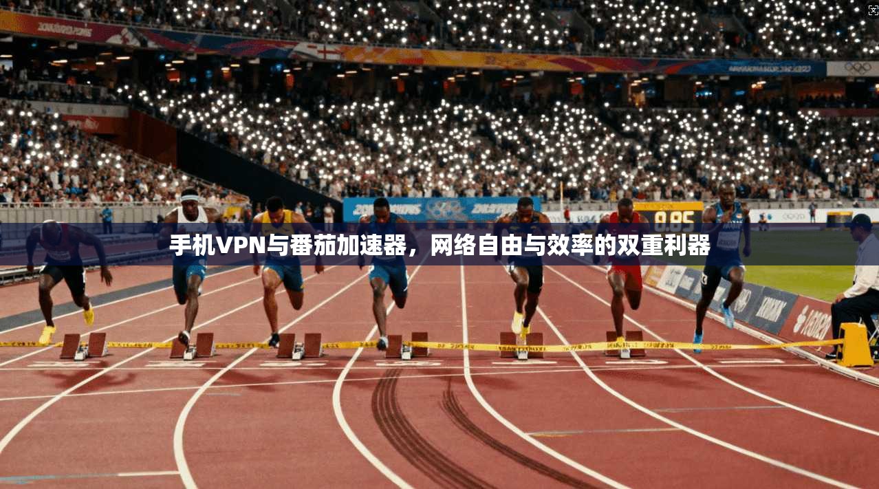 手机VPN与番茄加速器，网络自由与效率的双重利器  第1张
