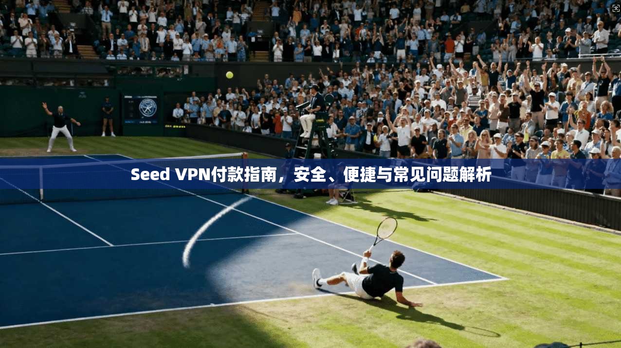 Seed VPN付款指南，安全、便捷与常见问题解析  第1张