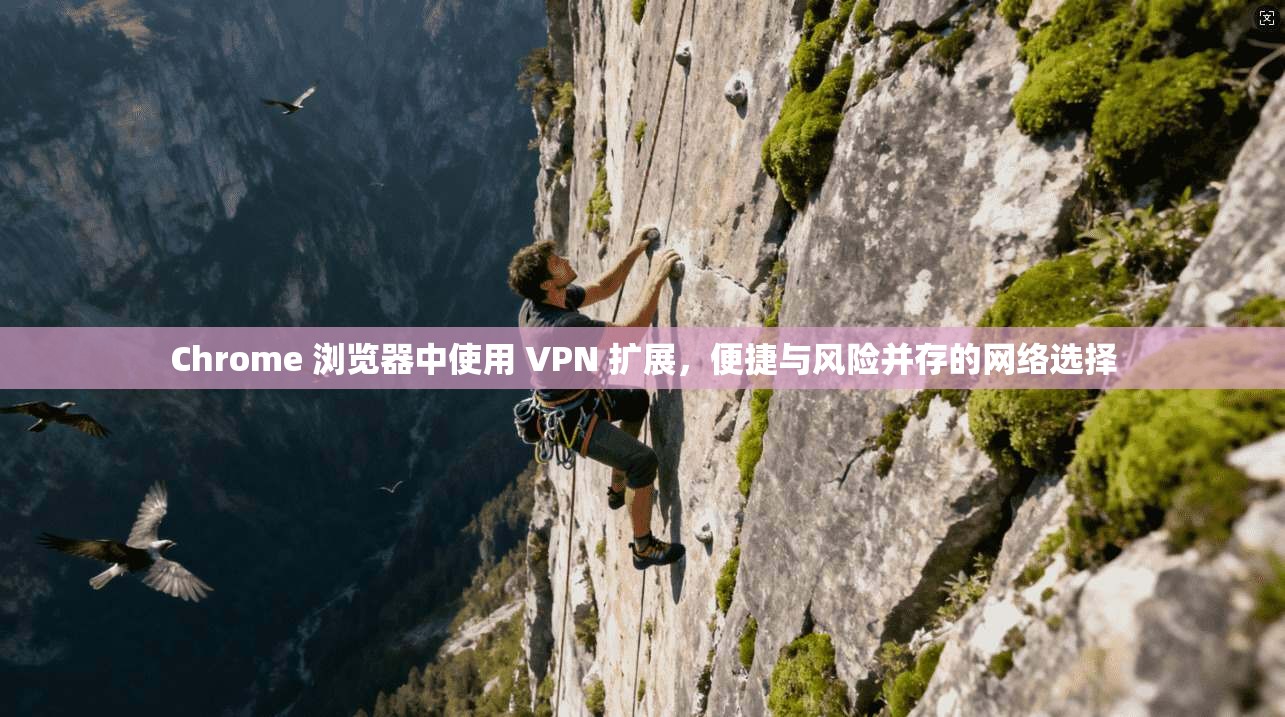 Chrome 浏览器中使用 VPN 扩展，便捷与风险并存的网络选择  第1张