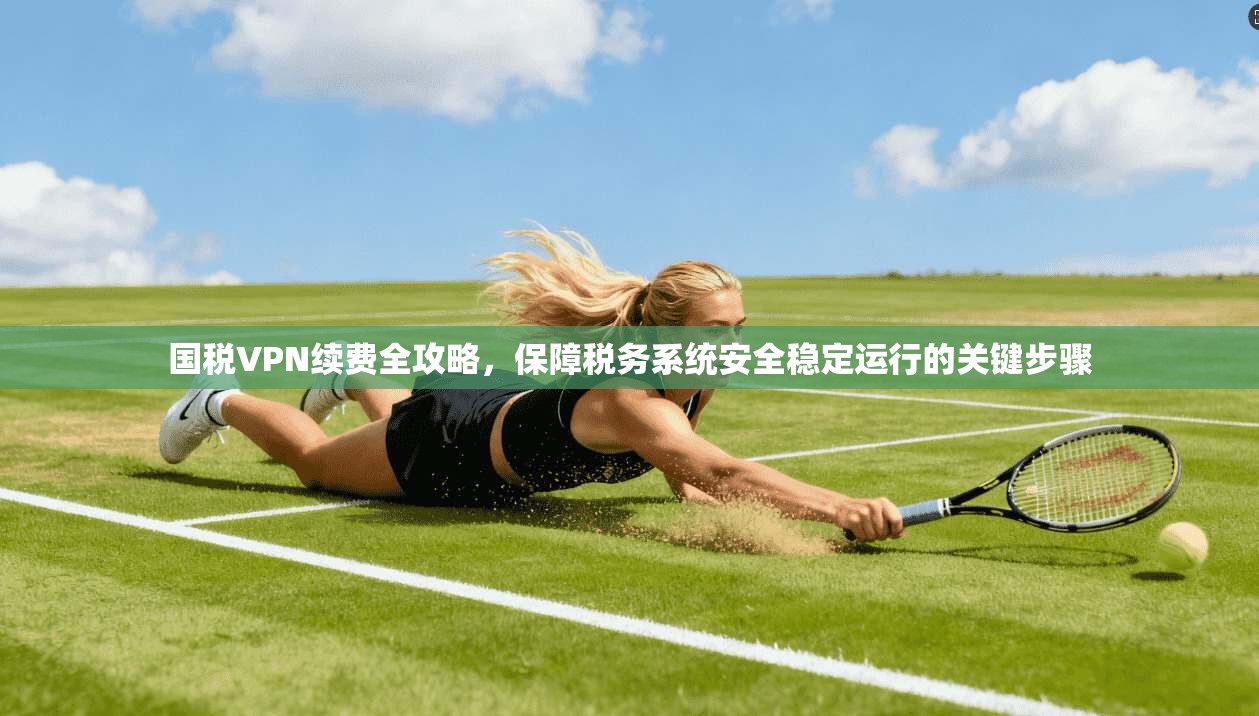 国税VPN续费全攻略，保障税务系统安全稳定运行的关键步骤  第1张
