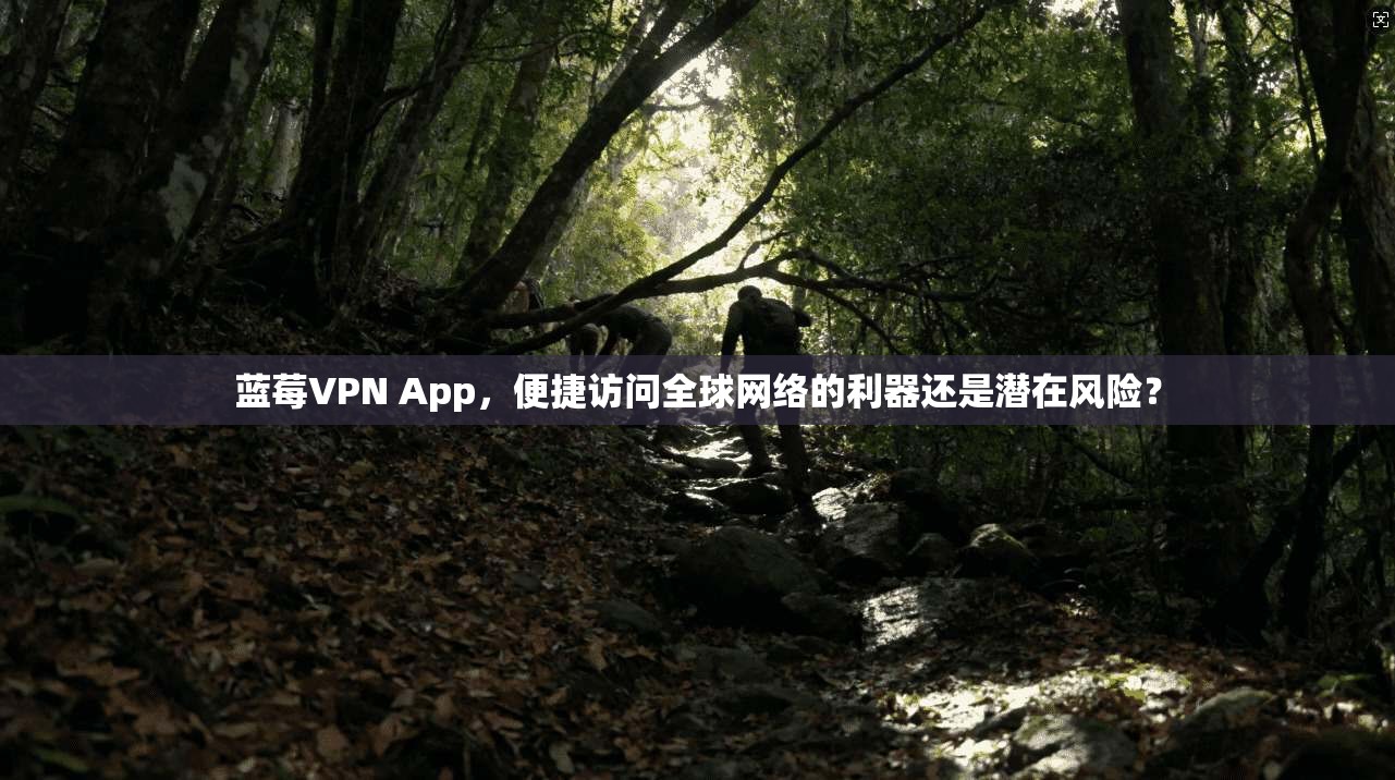 蓝莓VPN App，便捷访问全球网络的利器还是潜在风险？  第1张