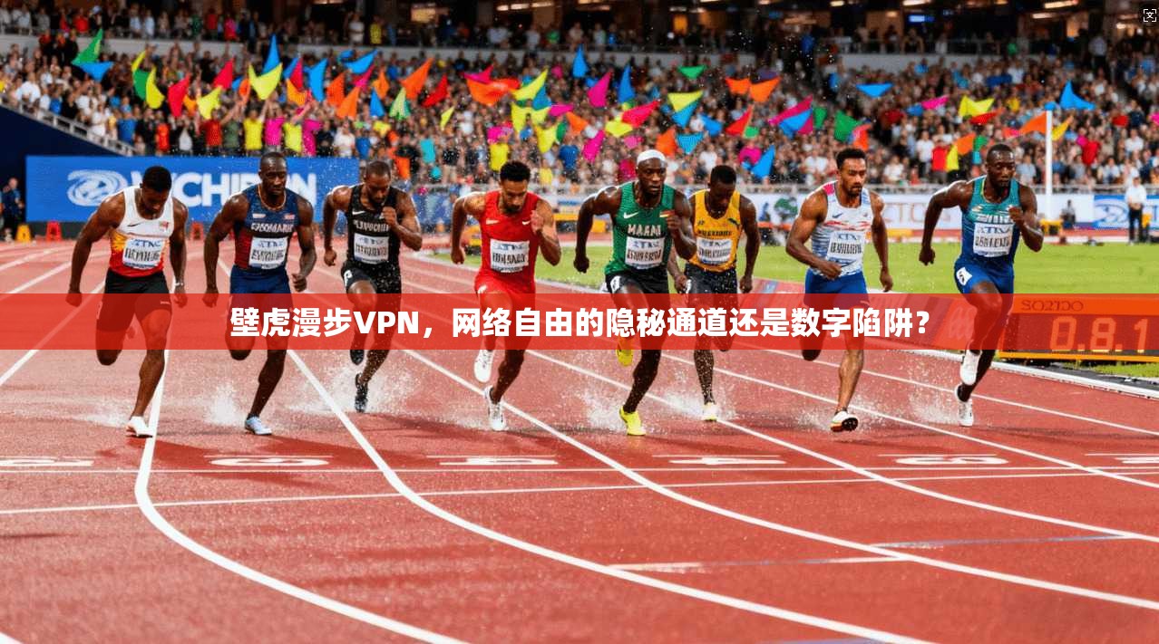 壁虎漫步VPN，网络自由的隐秘通道还是数字陷阱？  第1张