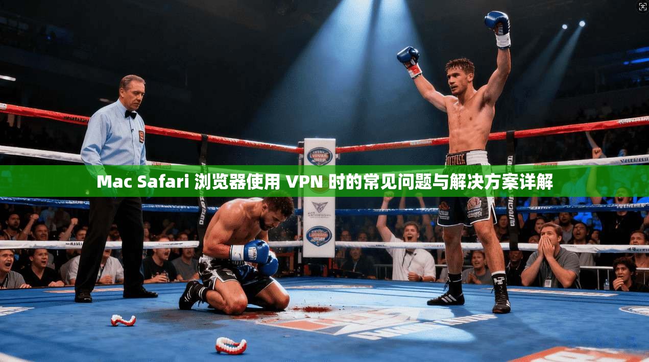 Mac Safari 浏览器使用 VPN 时的常见问题与解决方案详解  第1张