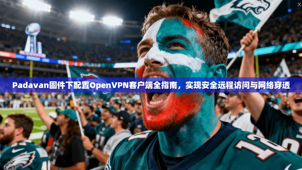 Padavan固件下配置OpenVPN客户端全指南，实现安全远程访问与网络穿透  第1张