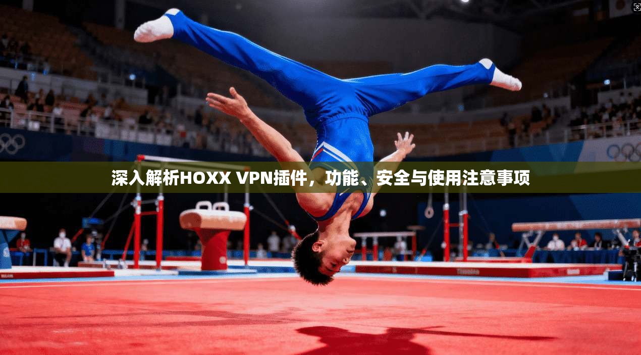 深入解析HOXX VPN插件，功能、安全与使用注意事项  第1张