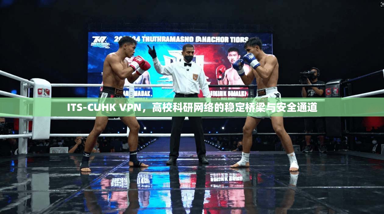 ITS-CUHK VPN，高校科研网络的稳定桥梁与安全通道  第1张