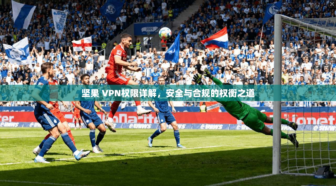 坚果 VPN权限详解，安全与合规的权衡之道  第1张