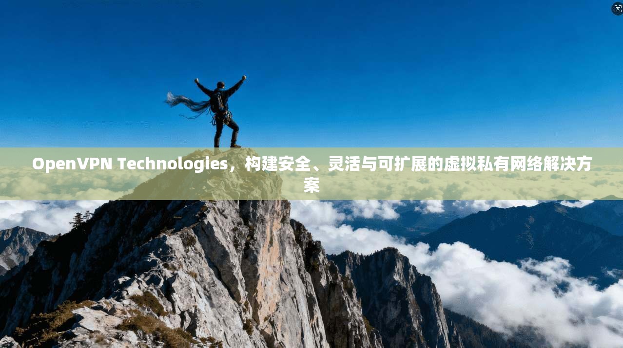 OpenVPN Technologies，构建安全、灵活与可扩展的虚拟私有网络解决方案  第1张
