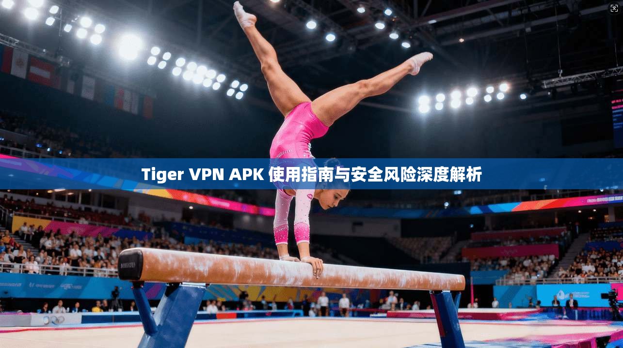 Tiger VPN APK 使用指南与安全风险深度解析  第1张