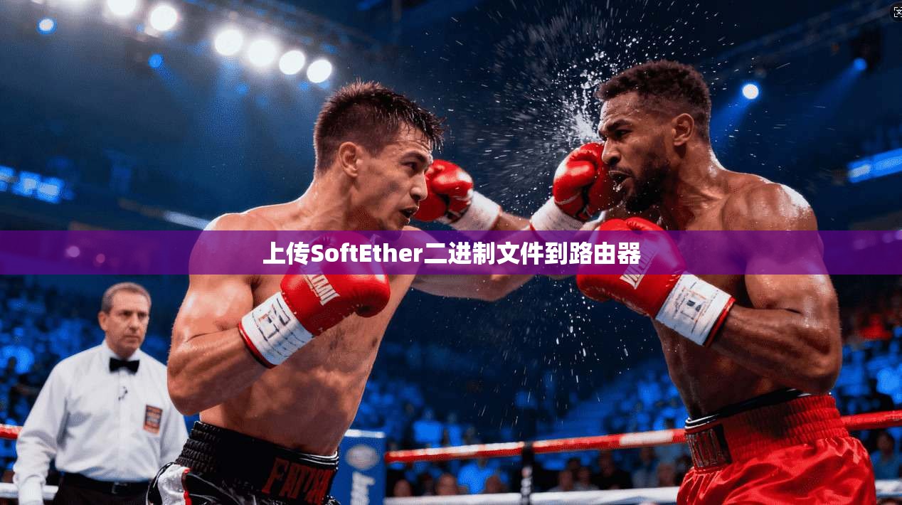 上传SoftEther二进制文件到路由器  第1张