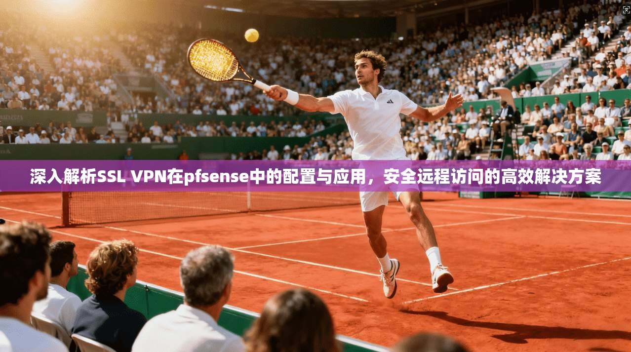 深入解析SSL VPN在pfsense中的配置与应用，安全远程访问的高效解决方案  第1张