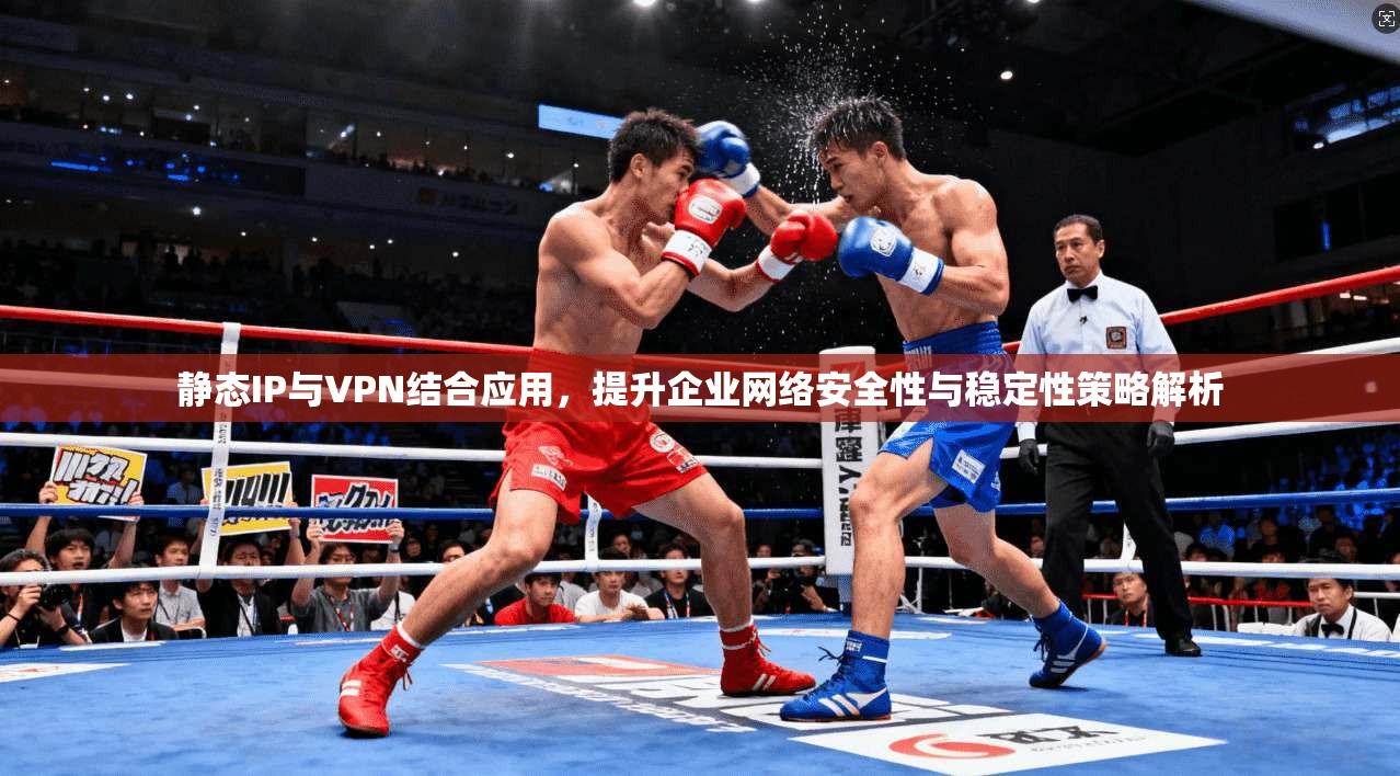 静态IP与VPN结合应用，提升企业网络安全性与稳定性策略解析  第1张