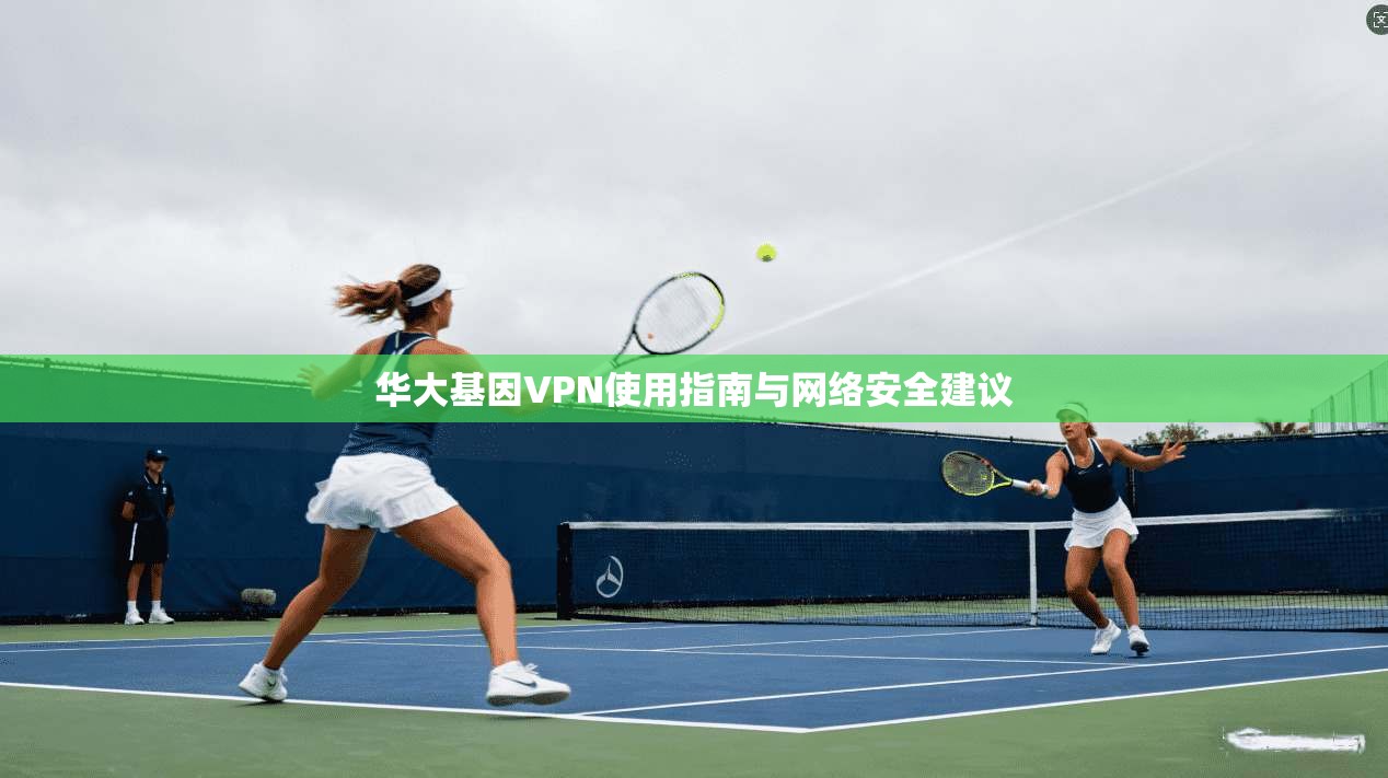 华大基因VPN使用指南与网络安全建议  第1张
