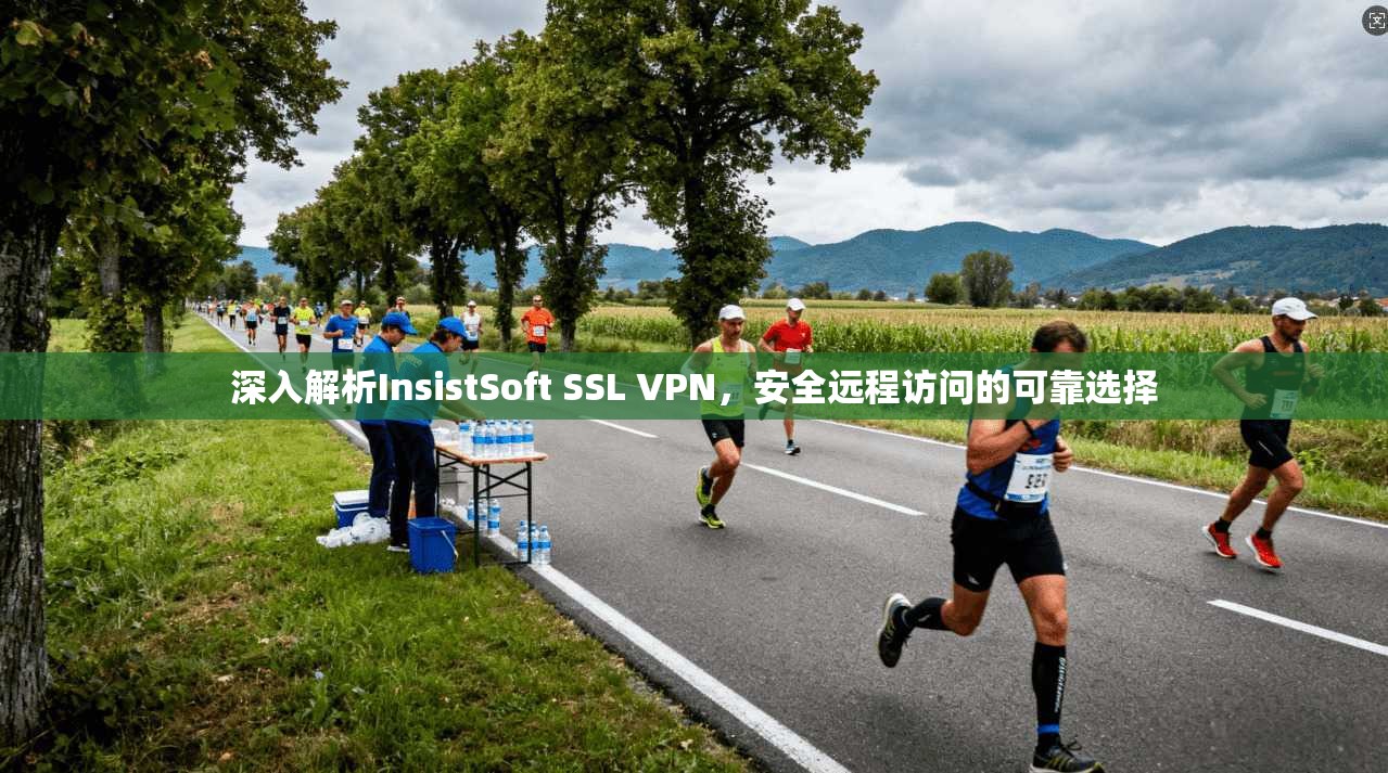 深入解析InsistSoft SSL VPN，安全远程访问的可靠选择  第1张