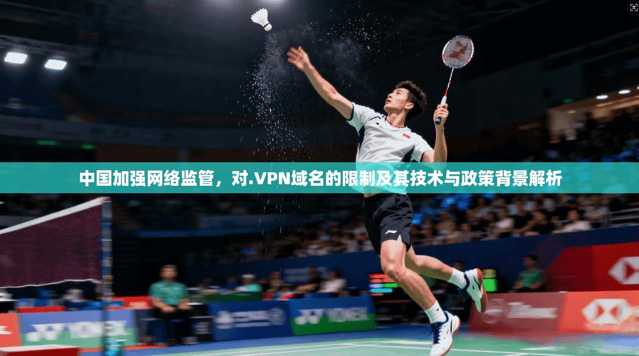 中国加强网络监管，对.VPN域名的限制及其技术与政策背景解析  第1张
