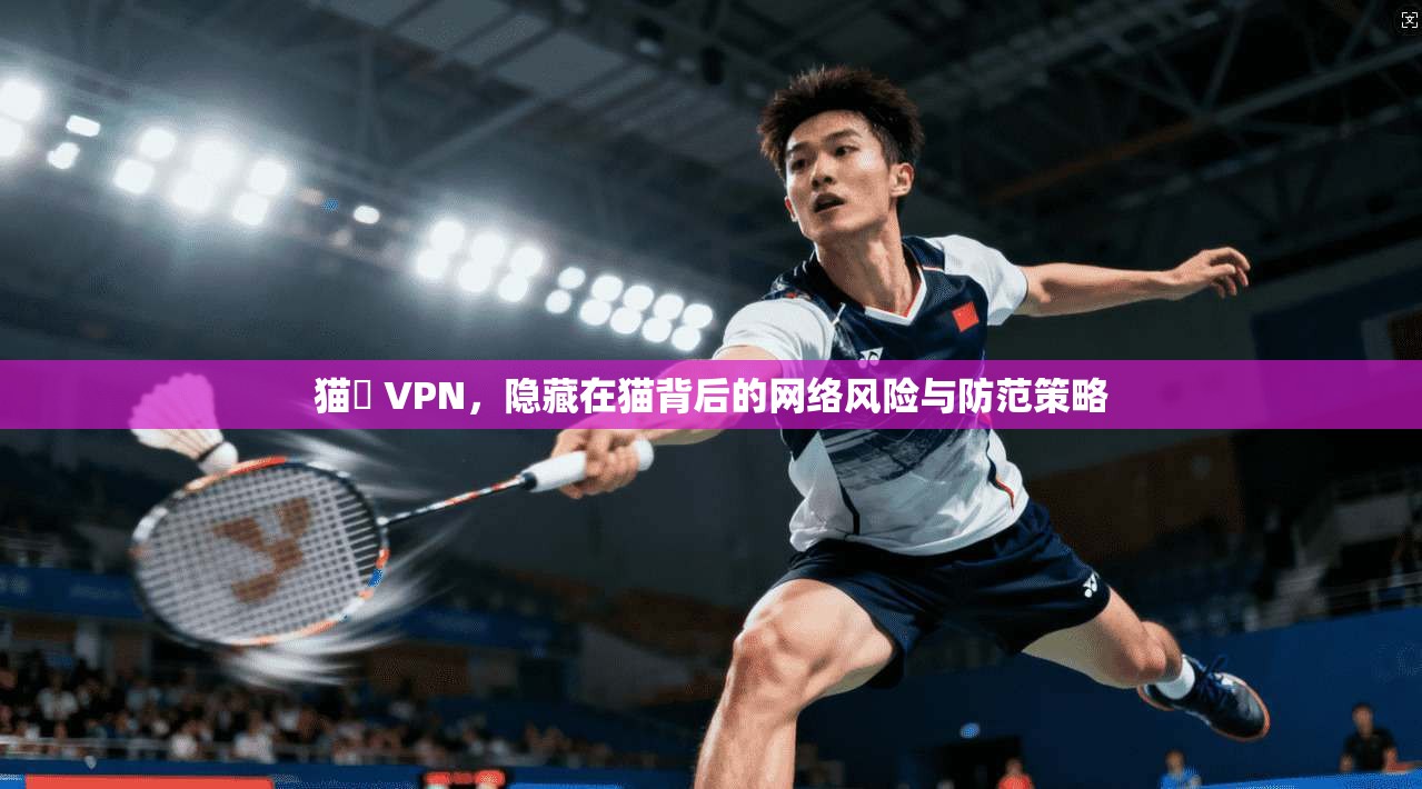 猫執 VPN，隐藏在猫背后的网络风险与防范策略  第1张