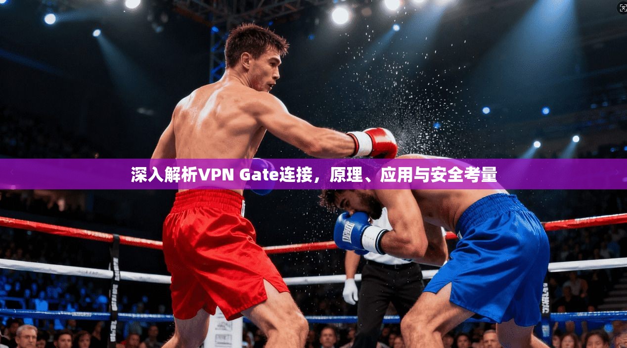 深入解析VPN Gate连接，原理、应用与安全考量  第1张