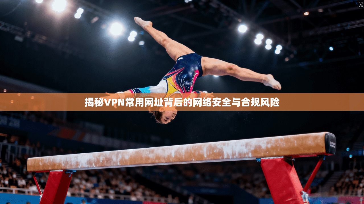 揭秘VPN常用网址背后的网络安全与合规风险  第1张