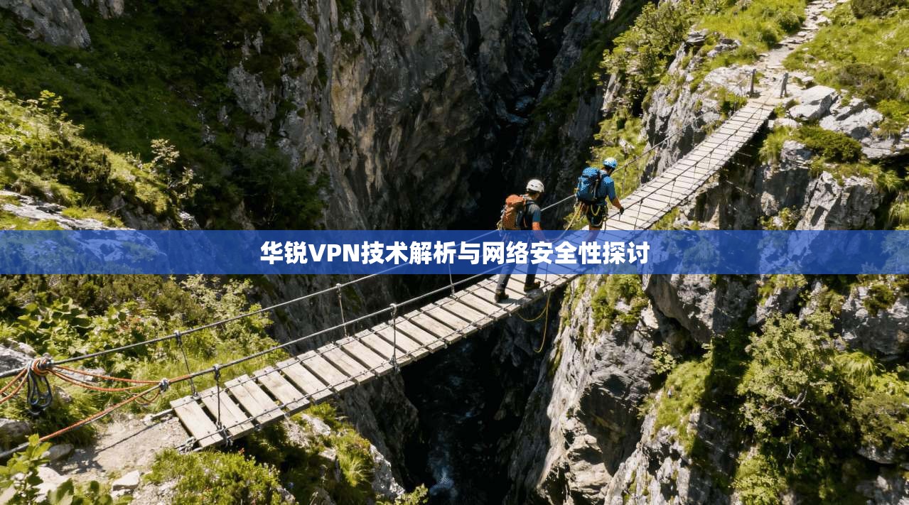 华锐VPN技术解析与网络安全性探讨  第1张