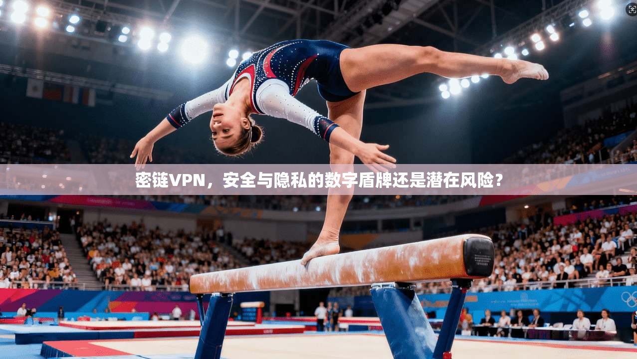 密链VPN，安全与隐私的数字盾牌还是潜在风险？  第1张