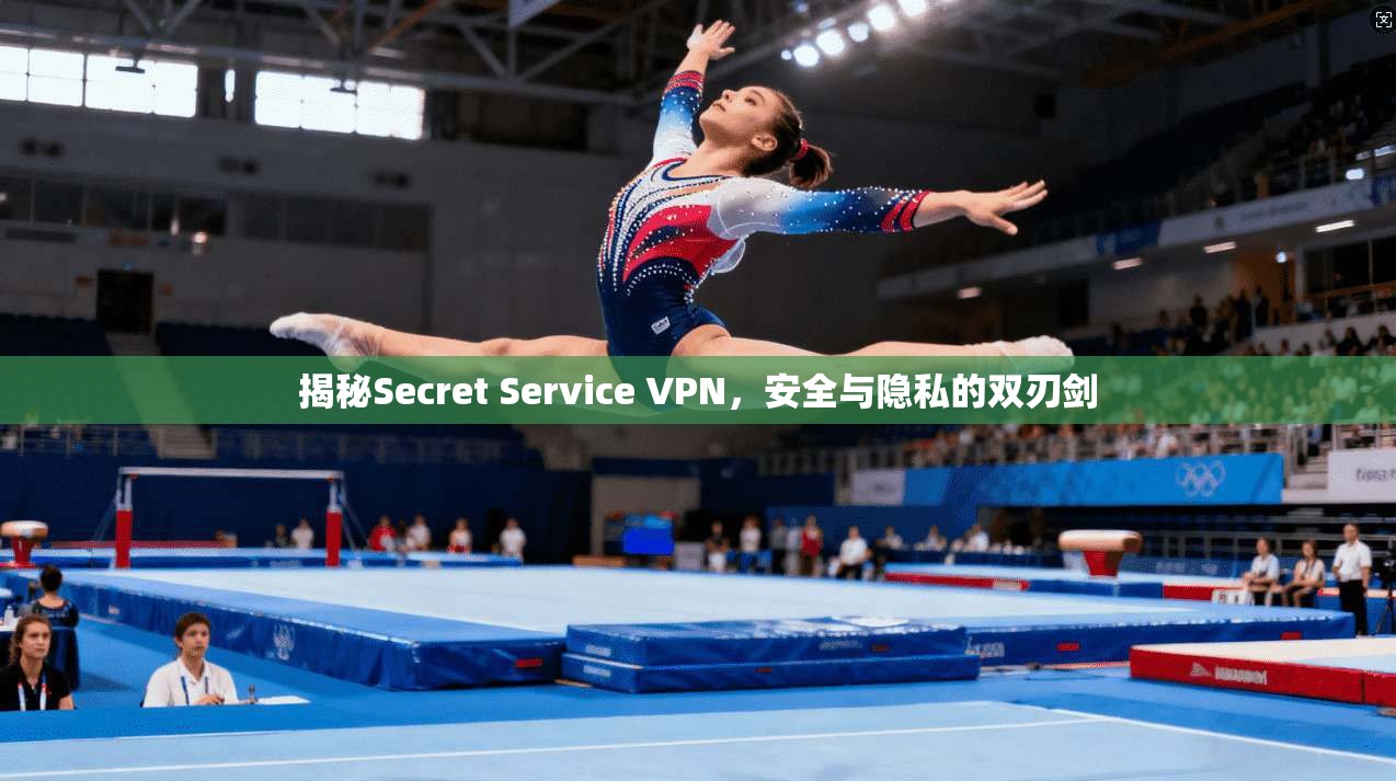 揭秘Secret Service VPN，安全与隐私的双刃剑  第1张