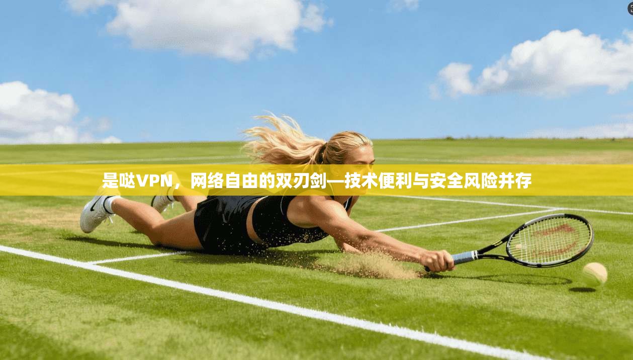 是哒VPN，网络自由的双刃剑—技术便利与安全风险并存  第1张