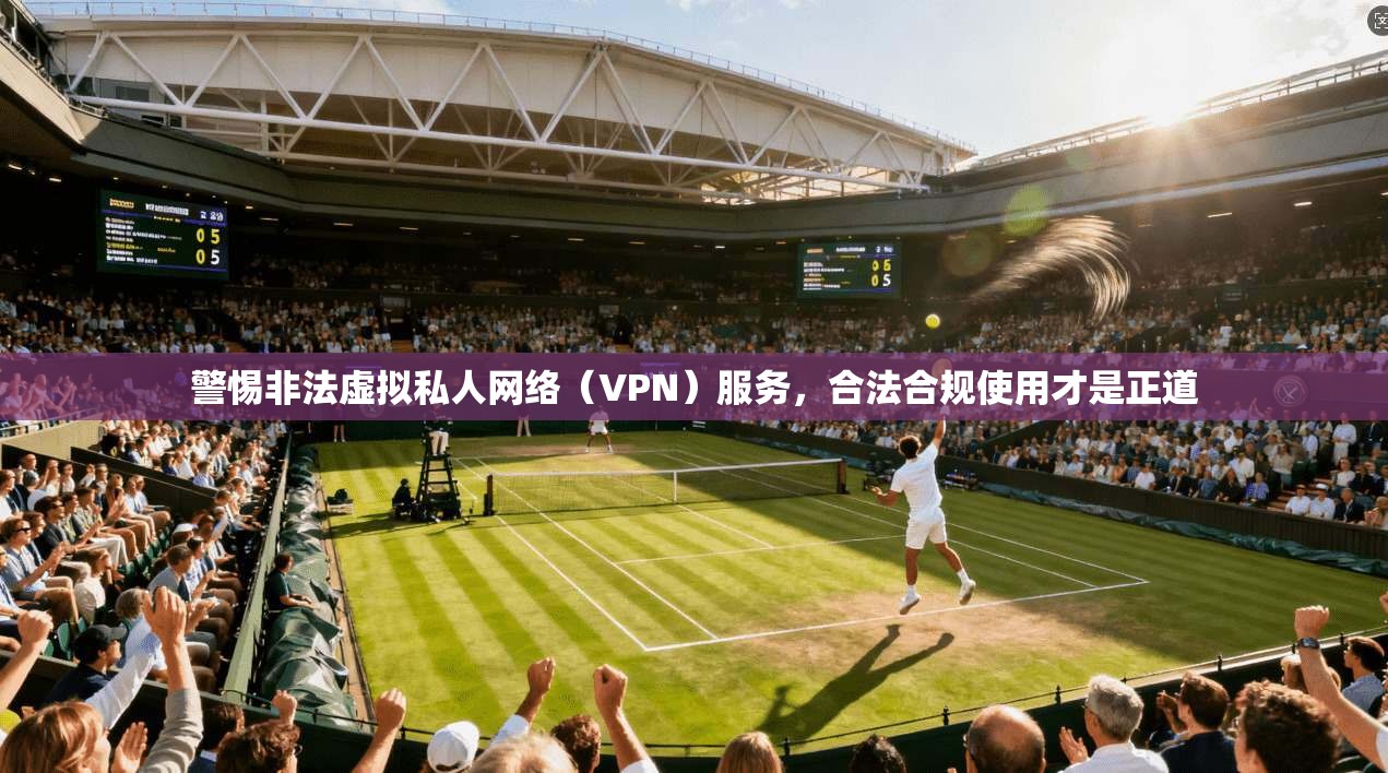 警惕非法虚拟私人网络（VPN）服务，合法合规使用才是正道  第1张